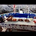 PHOTO-2022-03-12-11-40-09 2